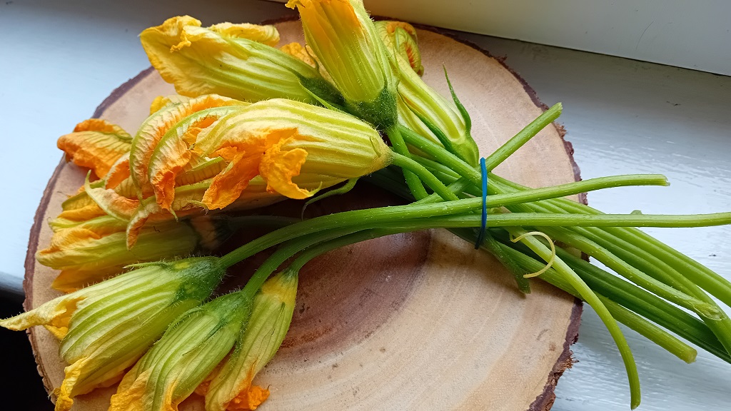 Courgette flowers